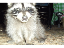 DSCF1285.JPG