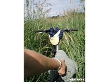 ������ �� ������� ���