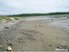 �� �������� ����� ������ - ������