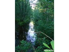 ��� ���� ������, �� �����