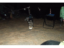 DSCF1233.JPG