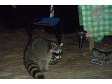 DSCF1247.JPG