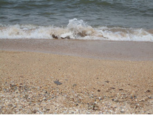 ��������� ����������. �������� ����, ��. ����������. 029.jpg