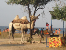 ��������� ����������. �������� ����, ��. ����������. 031.jpg