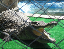 ��������� ����������. �������� ����, ��. ����������. 163.jpg