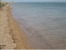 ��������� ����������. �������� ����, ��. ����������. 251.jpg