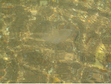 ��������� ����������. �������� ����, ��. ����������. 254.jpg