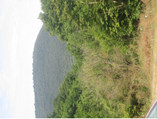 ��������� ����������. �������� ����, ��. ����������. 307.jpg