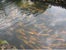 ��������� ����������. �������� ����, ��. ����������. 347.jpg