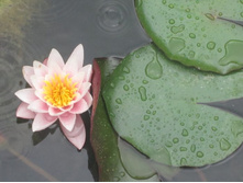 ��������� ����������. �������� ����, ��. ����������. 361.jpg