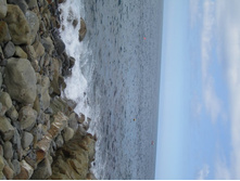 ��������� ����������. �������� ����, ��. ����������. 504.jpg