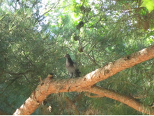 ��������� ����������. �������� ����, ��. ����������. 597.jpg