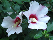 ��������� ����������. �������� ����, ��. ����������. 603.jpg