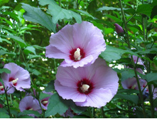 ��������� ����������. �������� ����, ��. ����������. 604.jpg