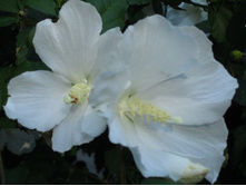 ��������� ����������. �������� ����, ��. ����������. 606.jpg