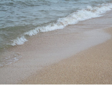 ��������� ����������. �������� ����, ��. ����������. 027.jpg