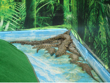 ��������� ����������. �������� ����, ��. ����������. 174.jpg