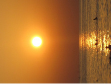 ��������� ����������. �������� ����, ��. ����������. 275.jpg