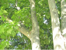 ��������� ����������. �������� ����, ��. ����������. 596.jpg