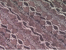 ����� ����� �������� � �������, ������ �� ������� �������. 