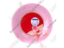 ������� ��������� ���*��*��  ��*��*���, 19,5��