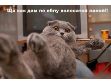 �������-�����������!