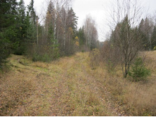 . �������� ��������. ����� �� ������ �������� ���� ������������.