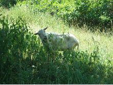 �.������, ������� � ������