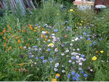 ����������� �������