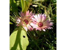 ��������������� :)