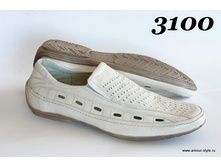 3100 ��� �����.JPG