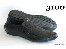 3100 ���� �����.JPG