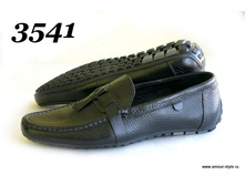 3541������ ������.JPG