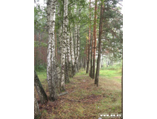 �������, ��� � ���� �������� ����� �� ������������� ��������