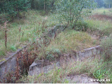 � ��� ���� � ������������ ��������