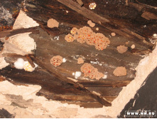 �� ��� ������ ����������� ��� ��������