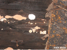 � ��������� �������