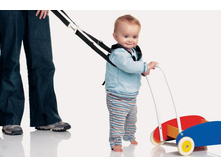 31��-11 �0�0���. ���� 954�