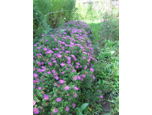 2. ��������� ���, �� 100 �.