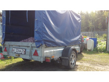 � ����������.