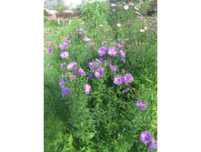 5. ���������, �� 80 �.