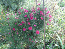 6. ��������, �� 80 �.�����������