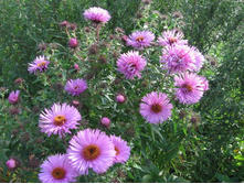 7. ������-������-���������, �� 80 �.�����������