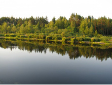 �� ��������