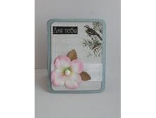 �������� ��������� 5.jpg