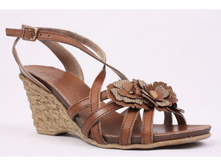 ���� ���������� ������.jpg