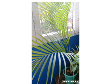 ��������������� �� �����