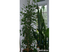 ����� ������ � �����������