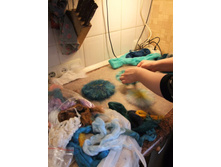 DSCF3743.JPG