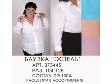 373445 (750-00)  .jpg